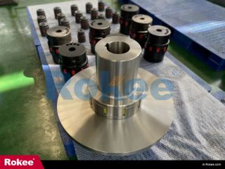 Pump Flexible Coupling Design