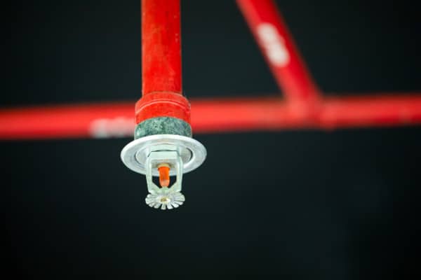 Fire sprinkler and pipe