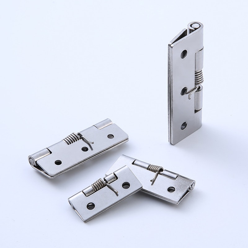 Custom Spring Hinges