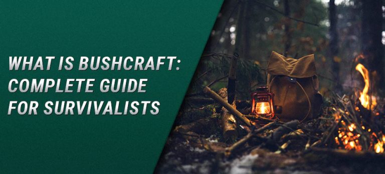 What is Bushcraft: Complete Guide for Survivalists
    
    

     – 
    BeaverCraft Tools