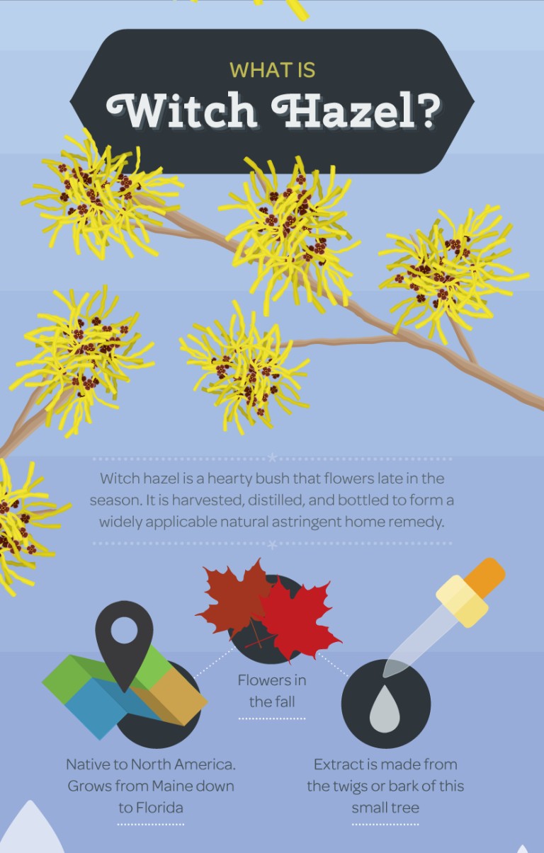 The Many Ways to Use Witch Hazel